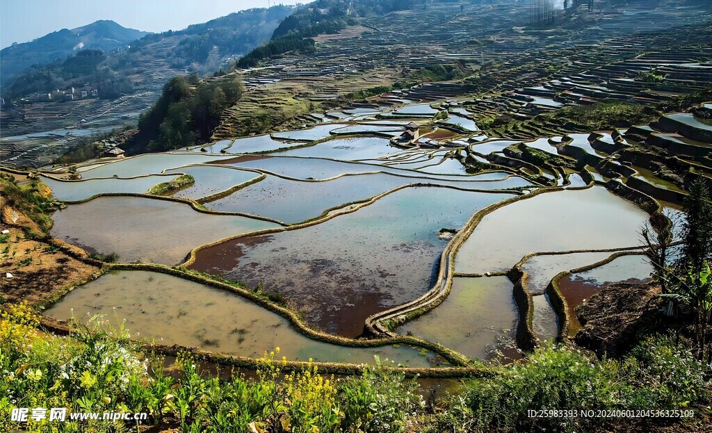梯田 
