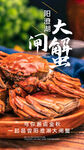大闸蟹