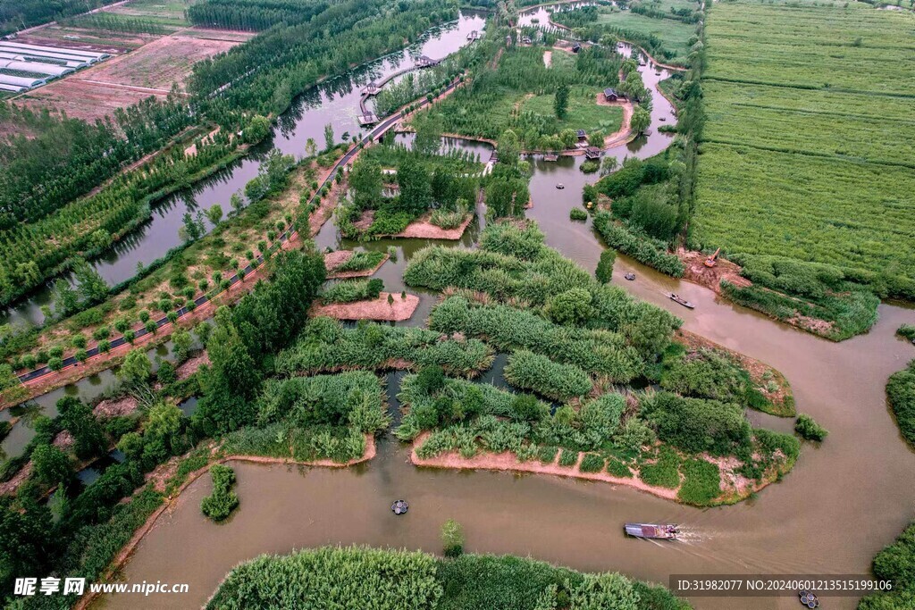 东平稻屯洼 湿地 