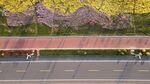 东平湖 环湖路