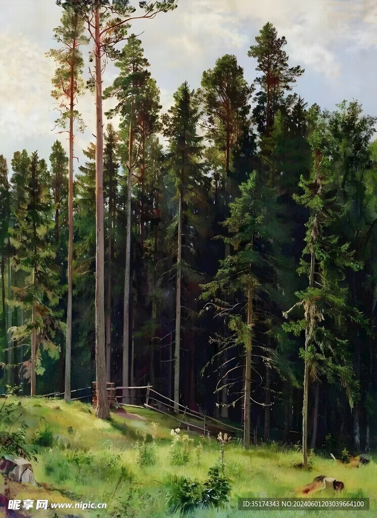 自然风景