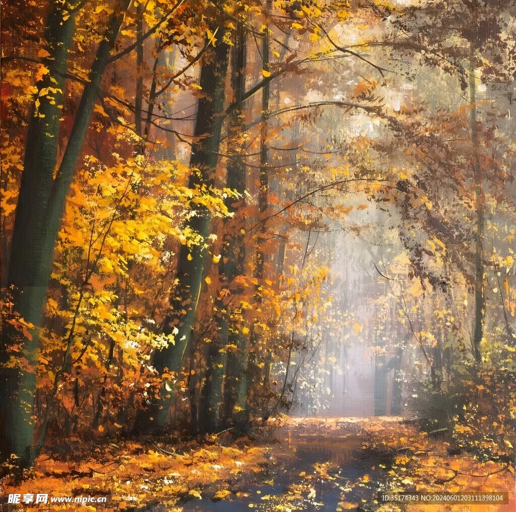 枫叶风景