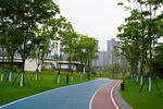公园跑道