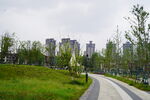 高端小区
