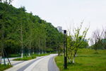 公园跑道
