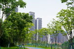 高层建筑