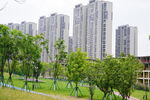 高端小区