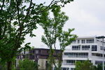 公园建筑