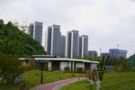 公园高层