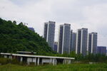 公园高层