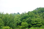山体公园