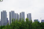 公园高层