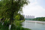 湖景公园