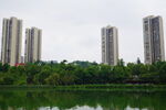 湖景高层