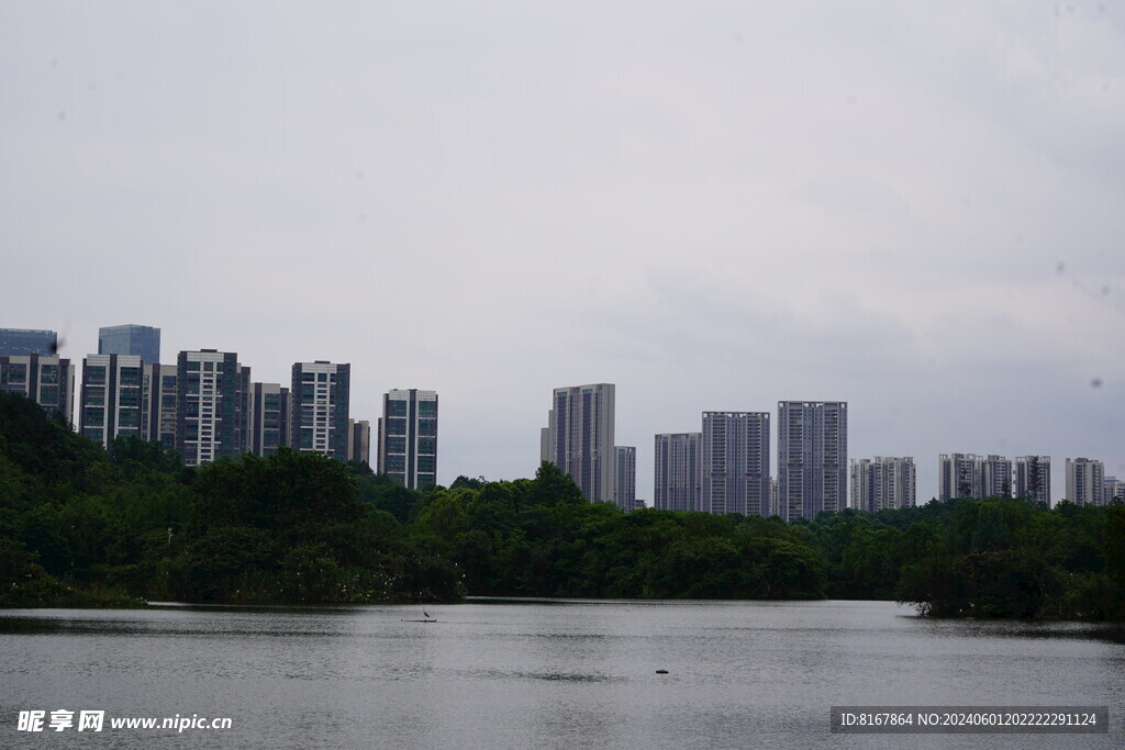 城市湖景