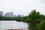 湖景城市