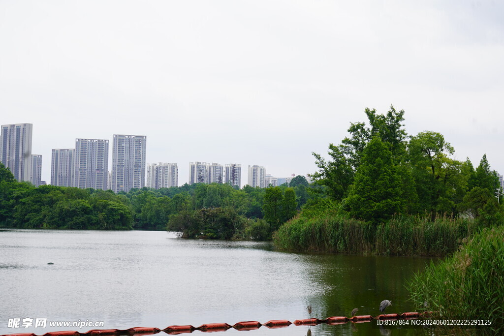 湖景城市