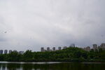 城市湖景