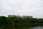 公园城市