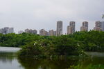 公园城市