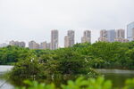 公园城市