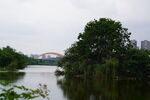 公园城市