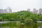 公园景观