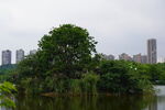 公园