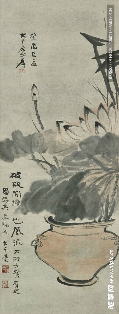 张大千 荷花画