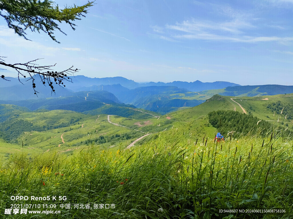 草原风景