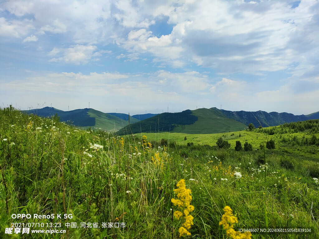 草原风景