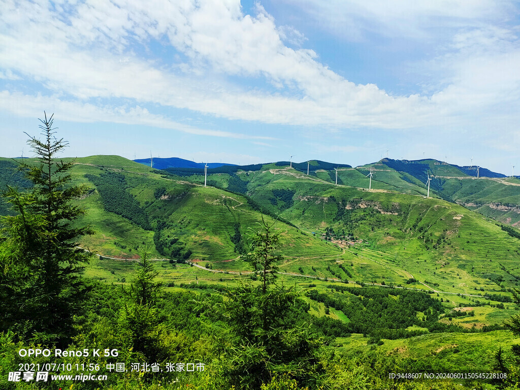 草原风景