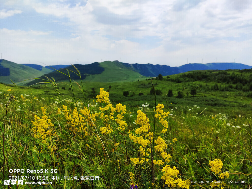 草原风景