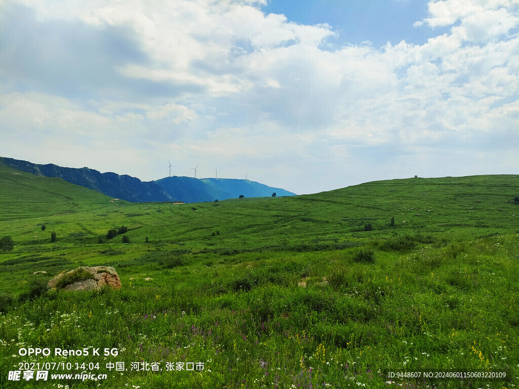 草原风景