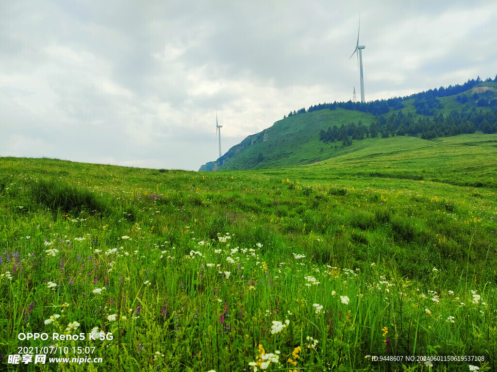 草原风景