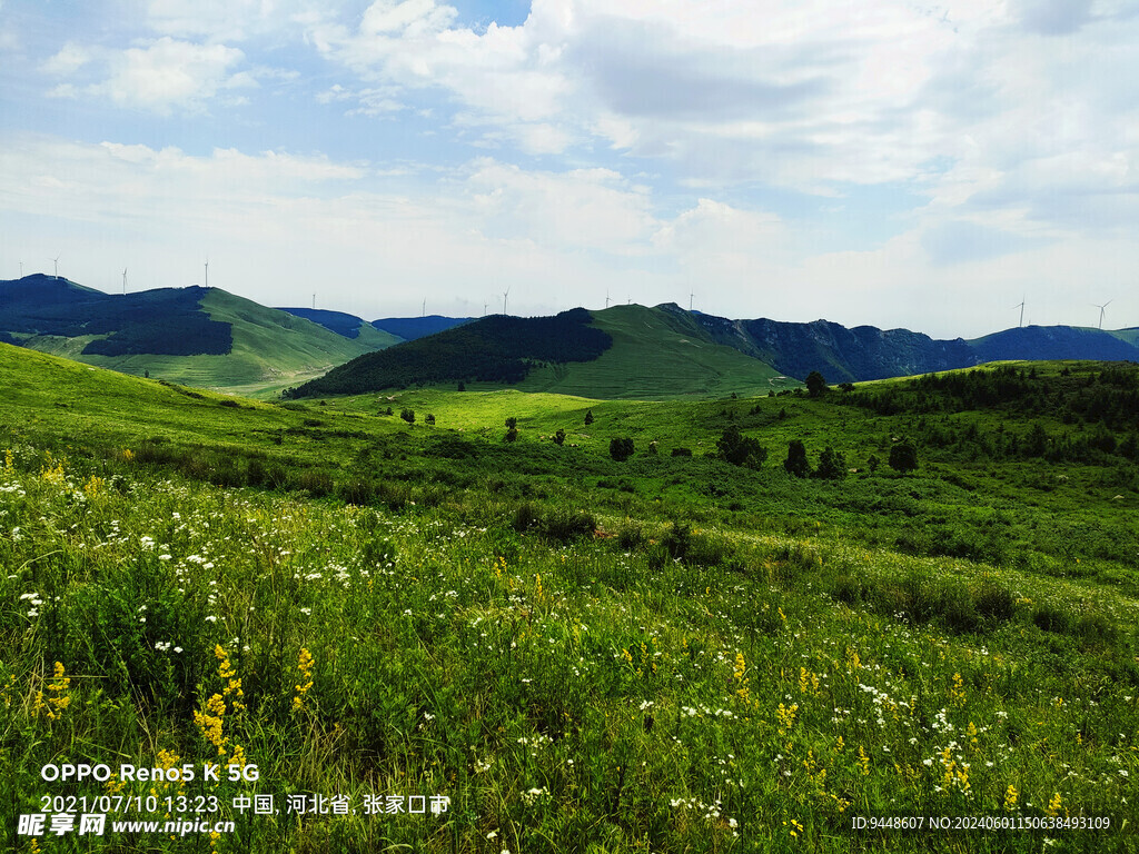 草原风景