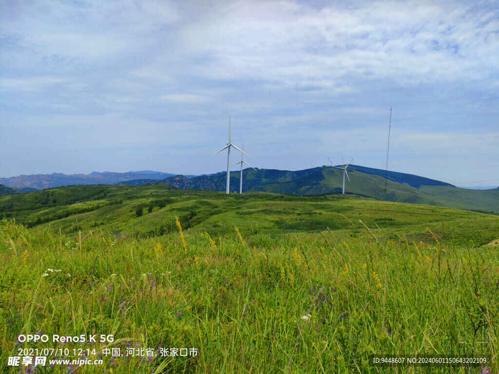 草原风景