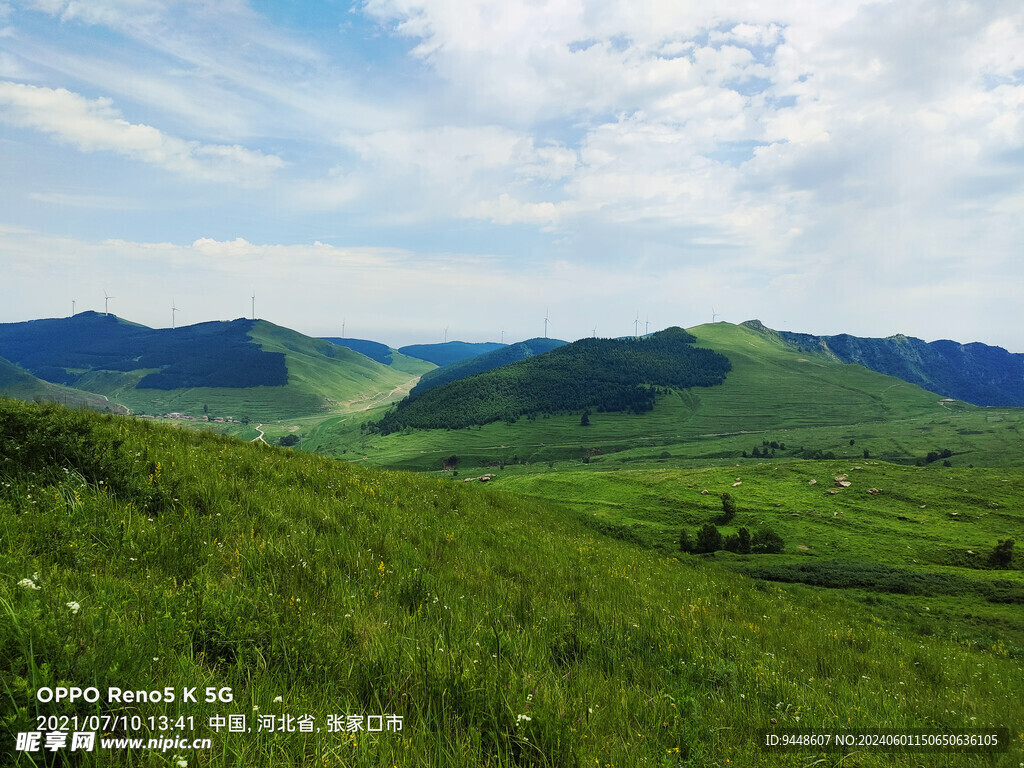 草原风景