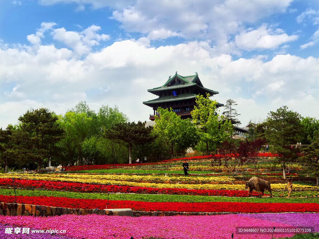 世园会花海