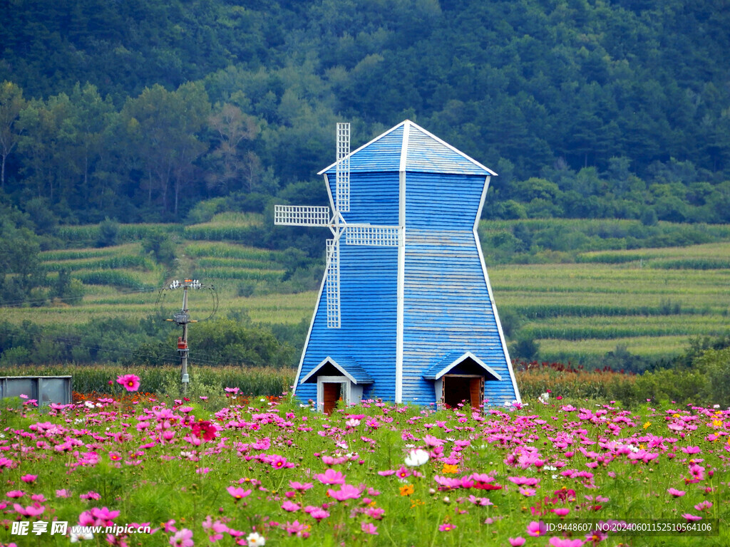 花海