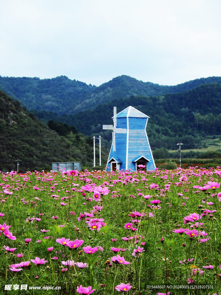 花海