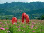 花海
