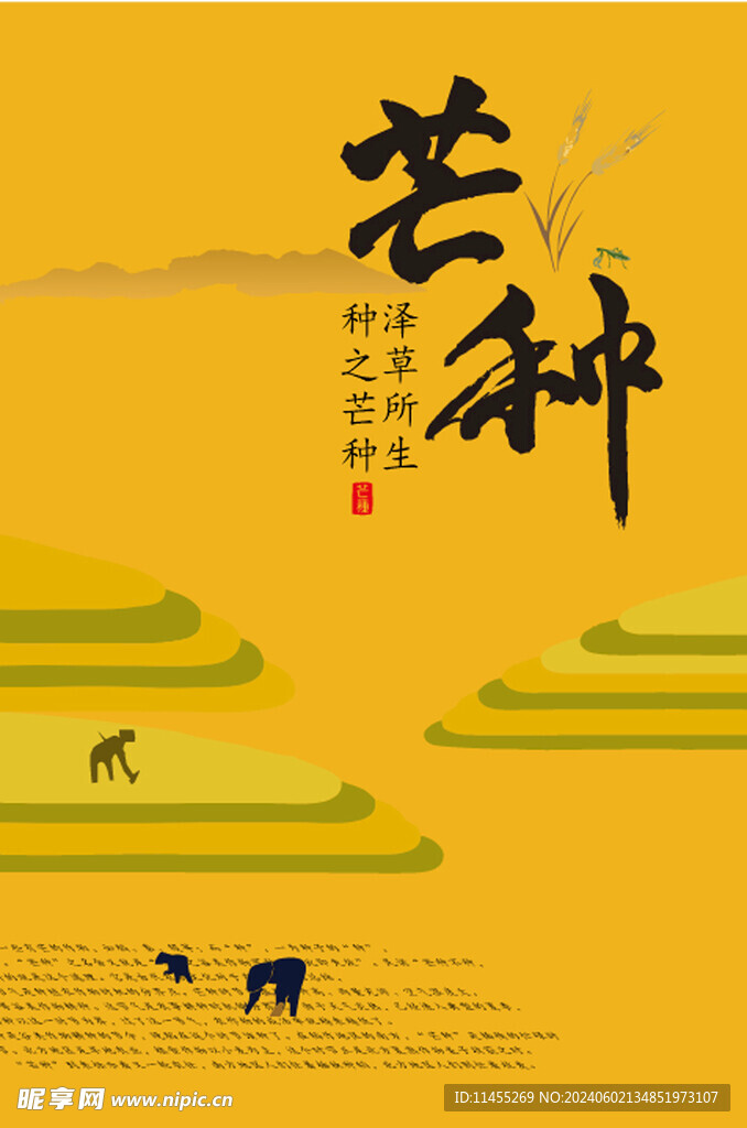 芒种 二十四节气