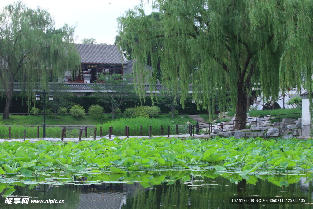 公园风景  