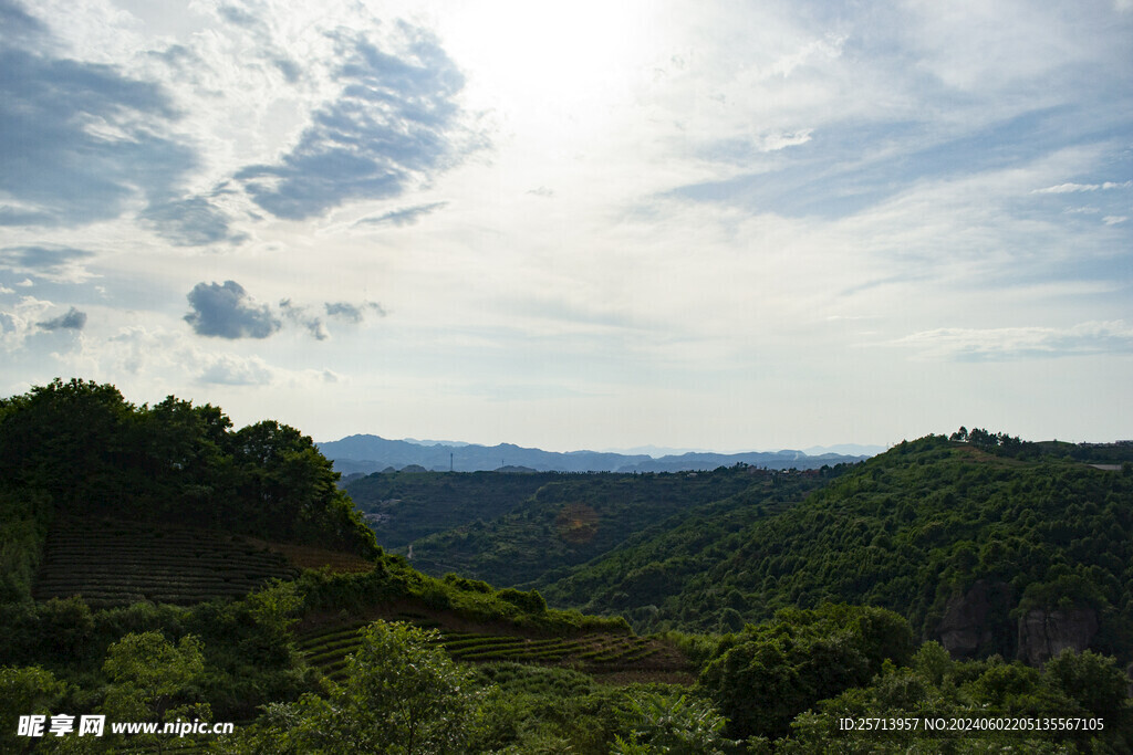 山野