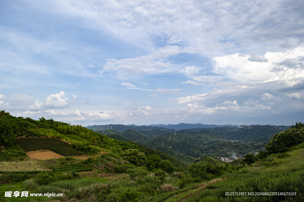 山野