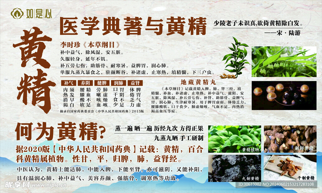 黄精海报