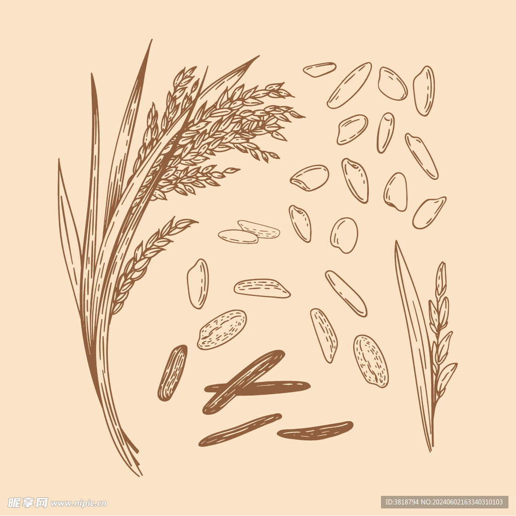手绘版画水稻