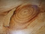 实木木质素面树桩去皮年轮片木桩