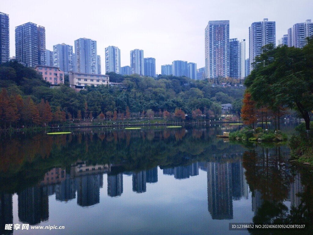 城市湿地公园湖泊